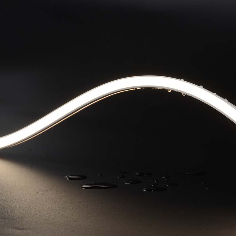 1010 SILICONE LED NEON STRIP